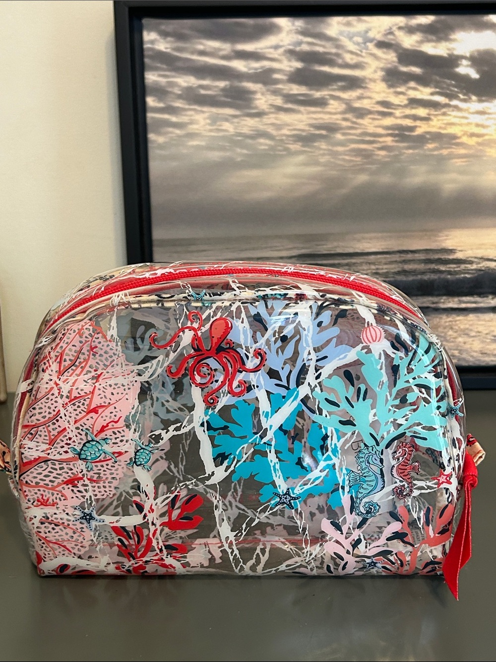 Vera Bradley beach cosmetic bag.  Pattern:  Sea life.